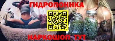 молекула духа Камышлов