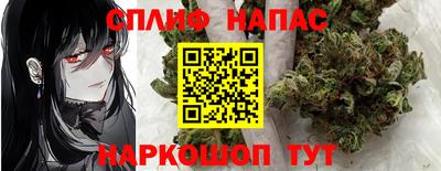молекула духа Камышлов